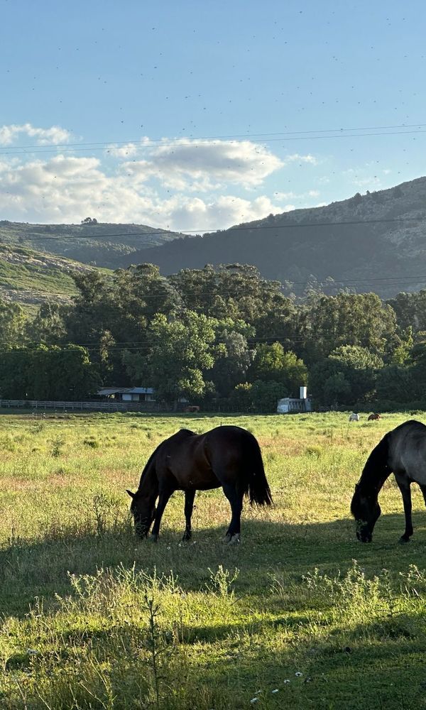 HOTEL EL PARAISO DE LA SIERRA