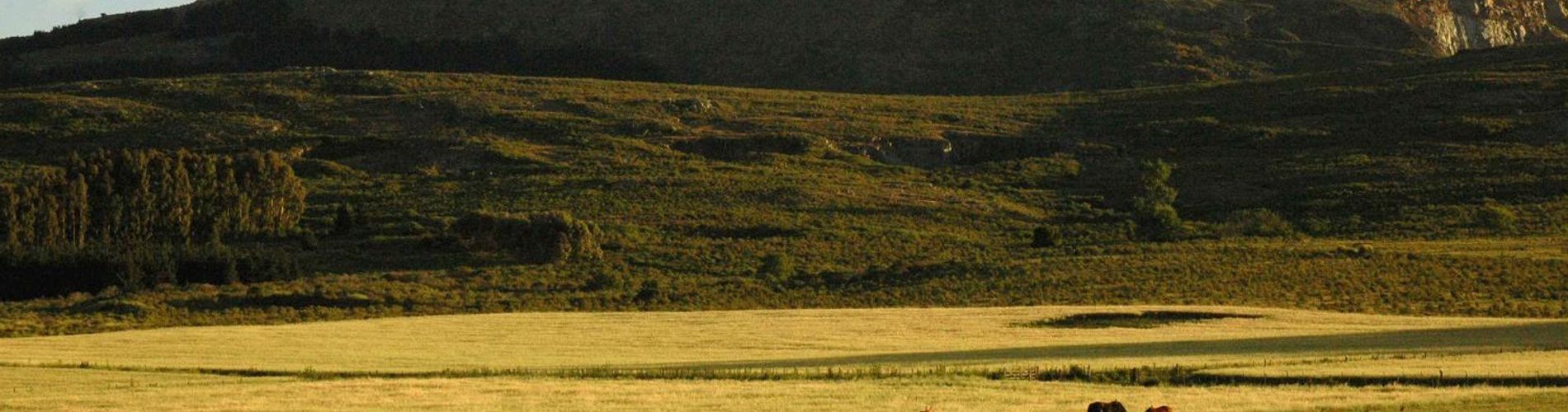 HOTEL EL PARAISO DE LA SIERRA