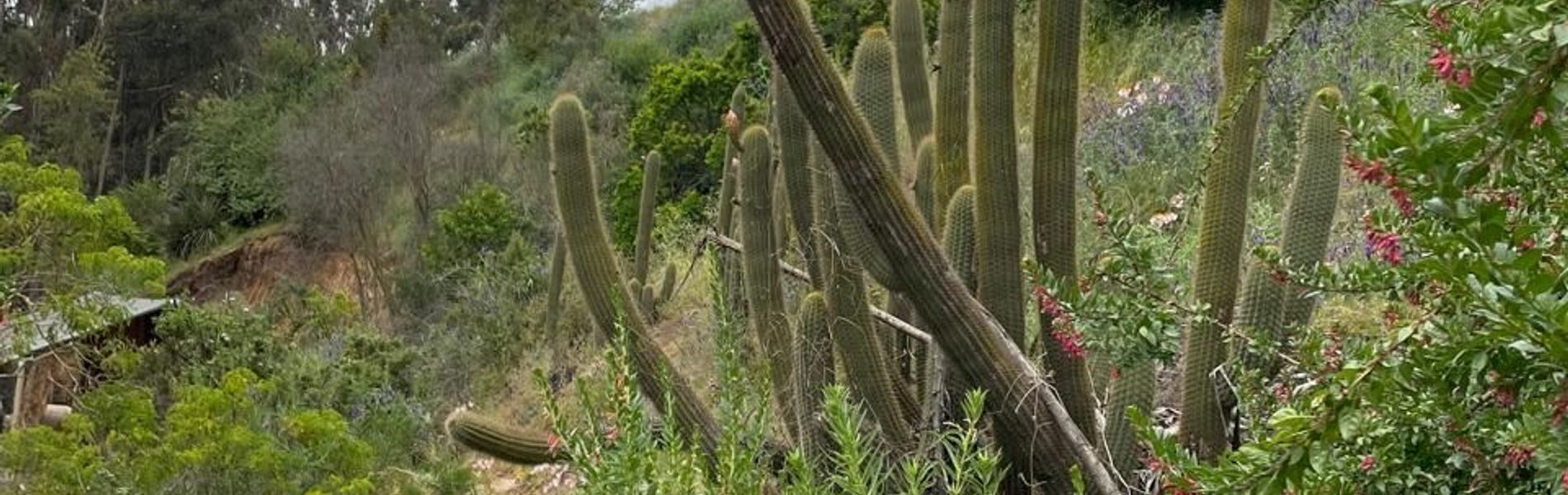 Zapallar Lagoon Park