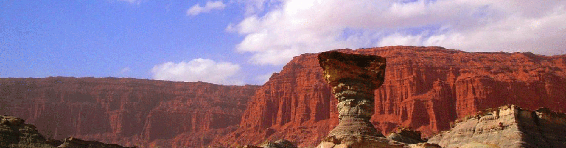 Del Bono Central Hotel 5 stars