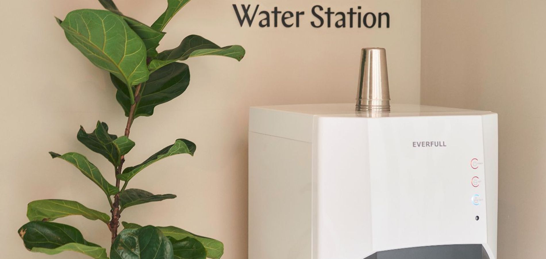 Bromelia Hotel Boutique