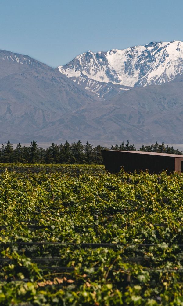 Andeluna Winery Lodge