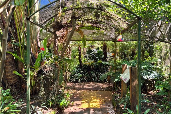 Glamping Selva Iguazú