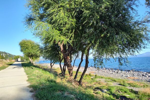 Andalue Centro o Plaza Italia Apartment