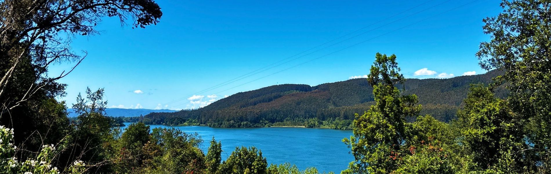Complejo Turístico La Rueda del Chucao