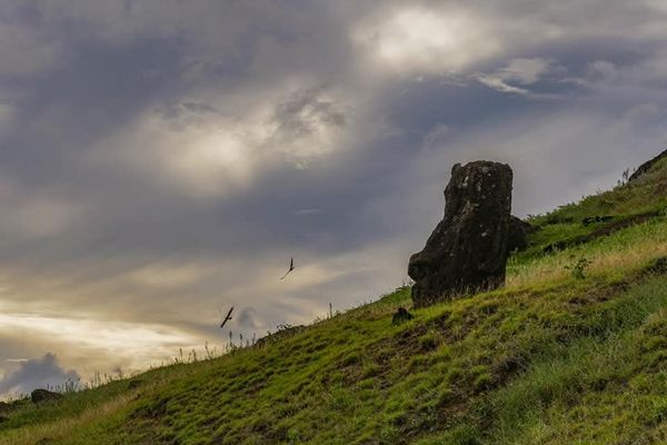 Ruta del Moai – Full Day