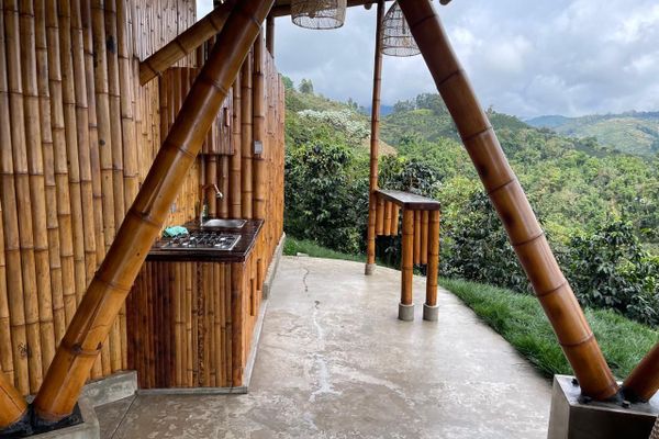 Cabaña Tangara Real