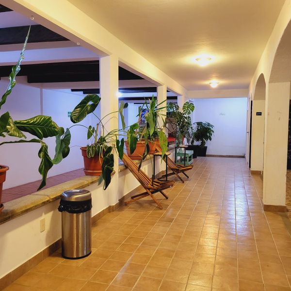 Jardines de Luz