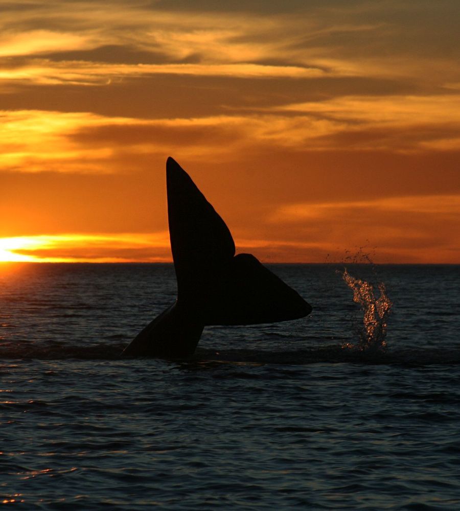 Las Restingas Hotel de Mar
