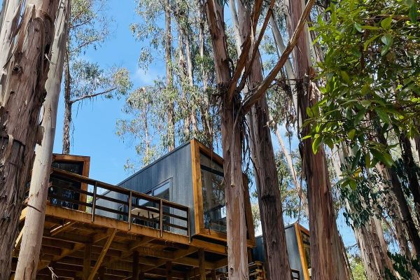 Loft doble Vista Bosque