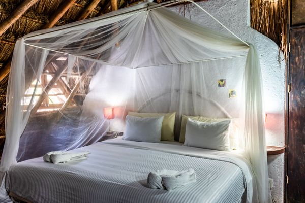 King económico, Hotel Casaejido, Playa del Carmen, México