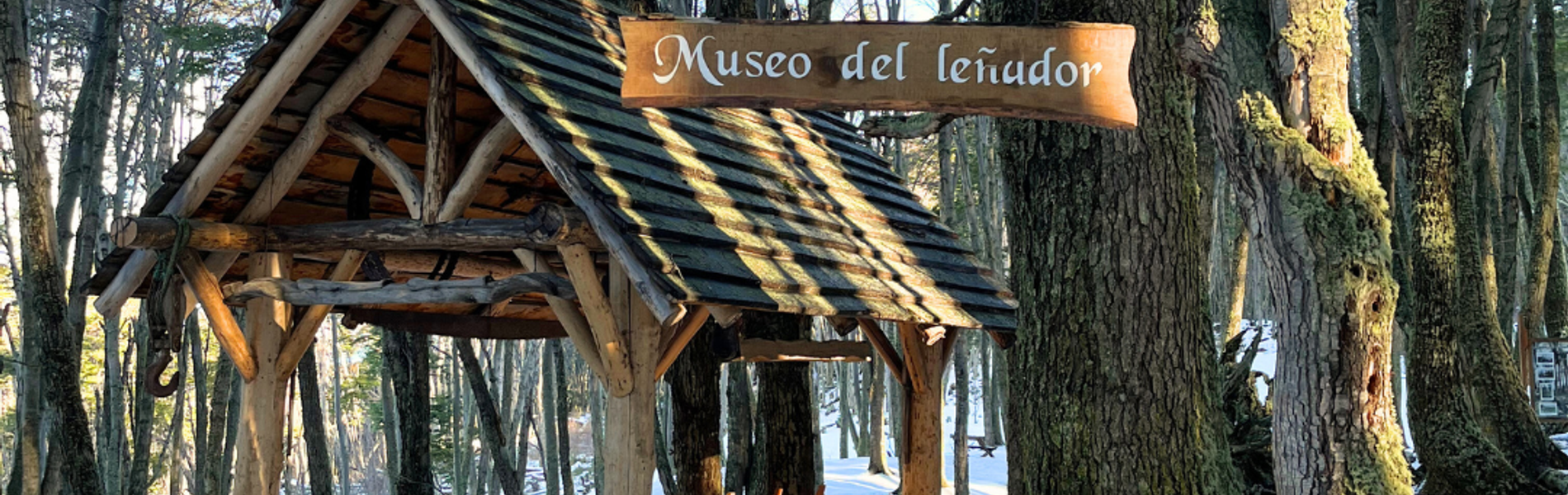 Cabañas Aldea Nevada