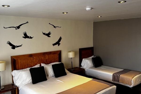 Categoria Triple Estandar