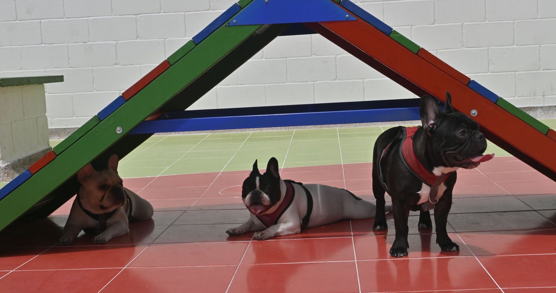 Apartamentos Club Residencial Ibague