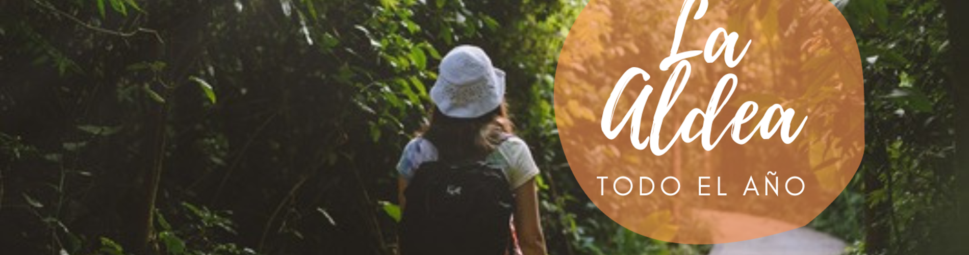 The Jungle Village Lodge