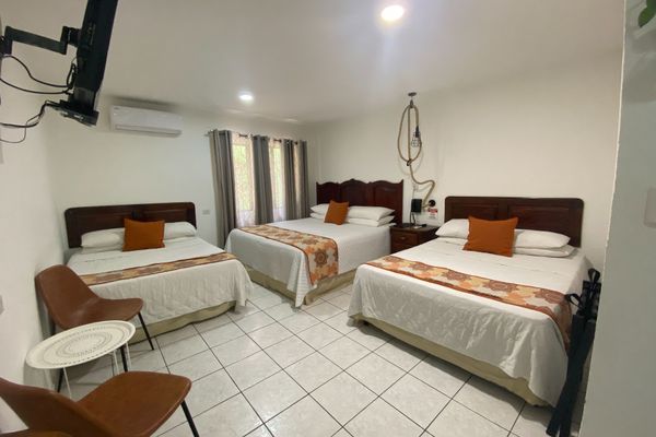 1 King Bed, 2 Queen Beds / Family Room