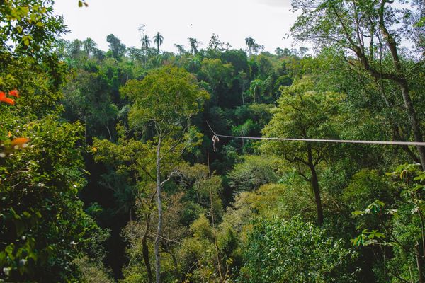 Glamping Selva Iguazú