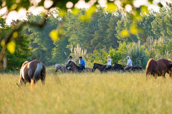 Día de campo Gaucho