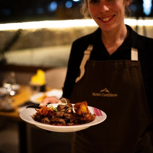 Hotel y Restaurant Cordillera