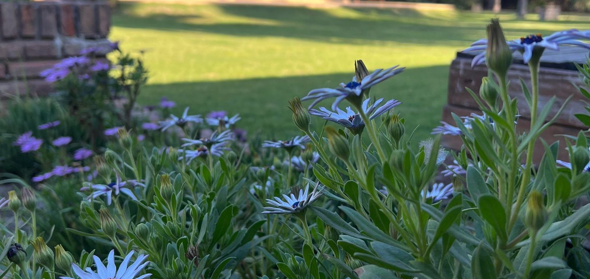 Parador15 Apart Hotel Resort & Eventos