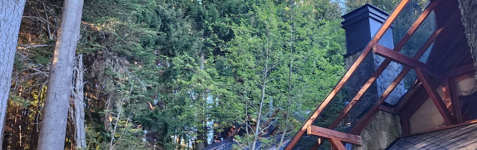 Casa del Bosque Aparts & Suites