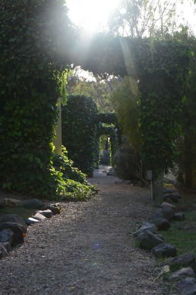 Cabañas Carü Leufu