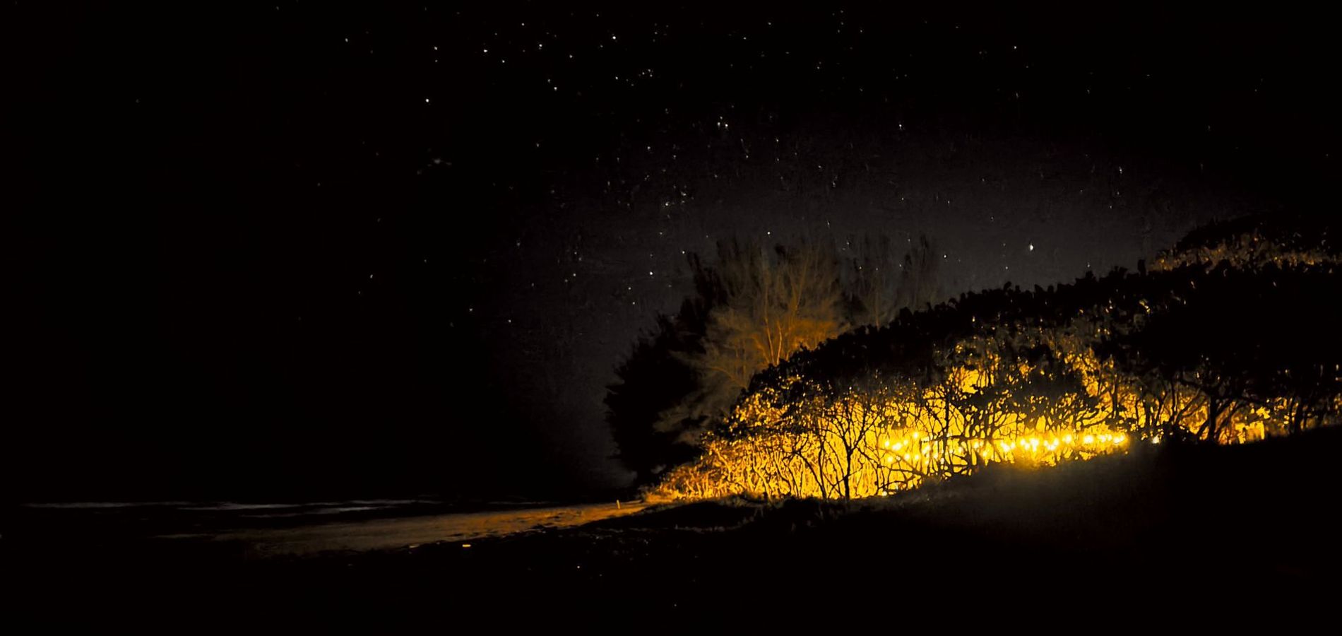 Hotel Playa Tortugas