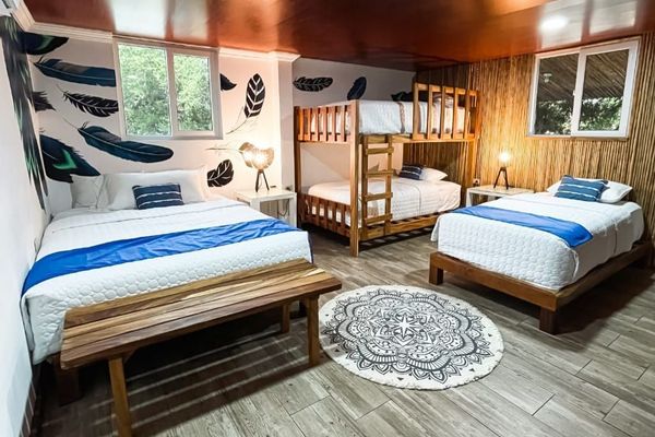 Suite Tortuga 2 habitaciones