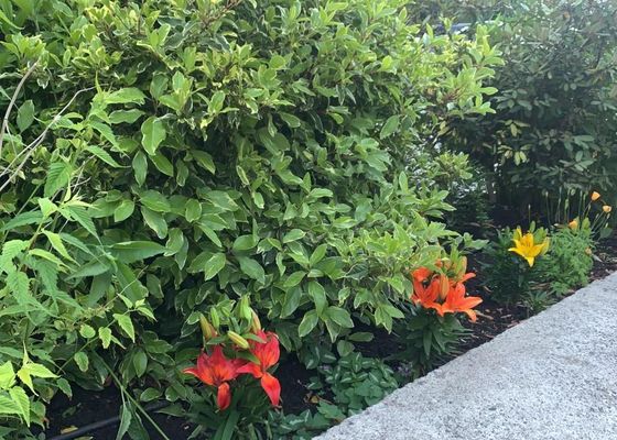 Costa Brava Apart Hotel & Suites