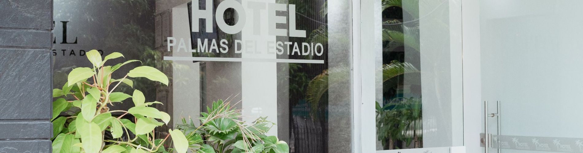 Hotel Palmas del Estadio