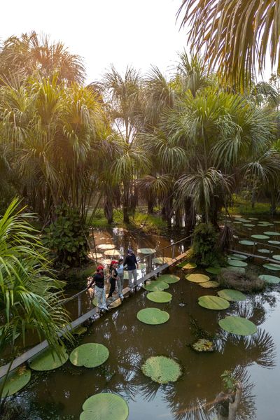 Heliconia Amazon River Lodge