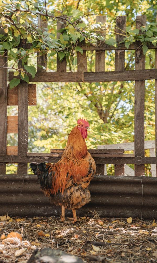 EQUS POSADA DE CAMPO