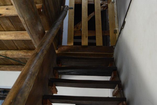 Eucaliptos - hasta 6 pax 