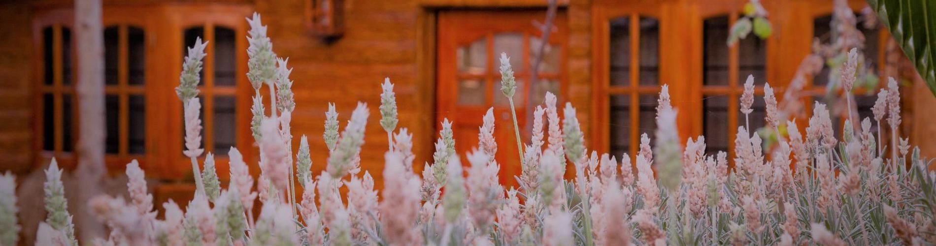 Don Pepe Hotel & Cabañas