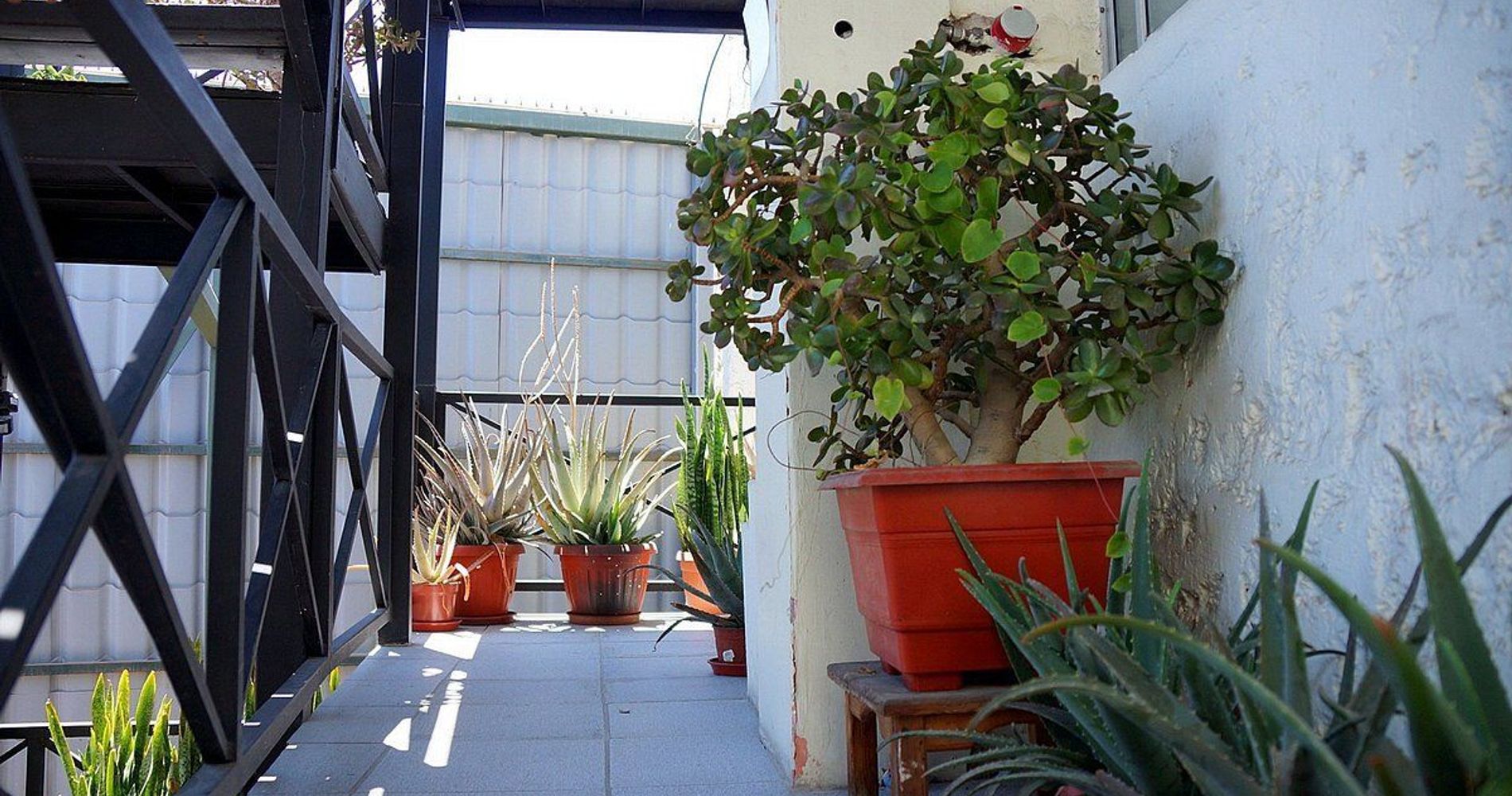 Bahia Caracoles  Apart Hotel