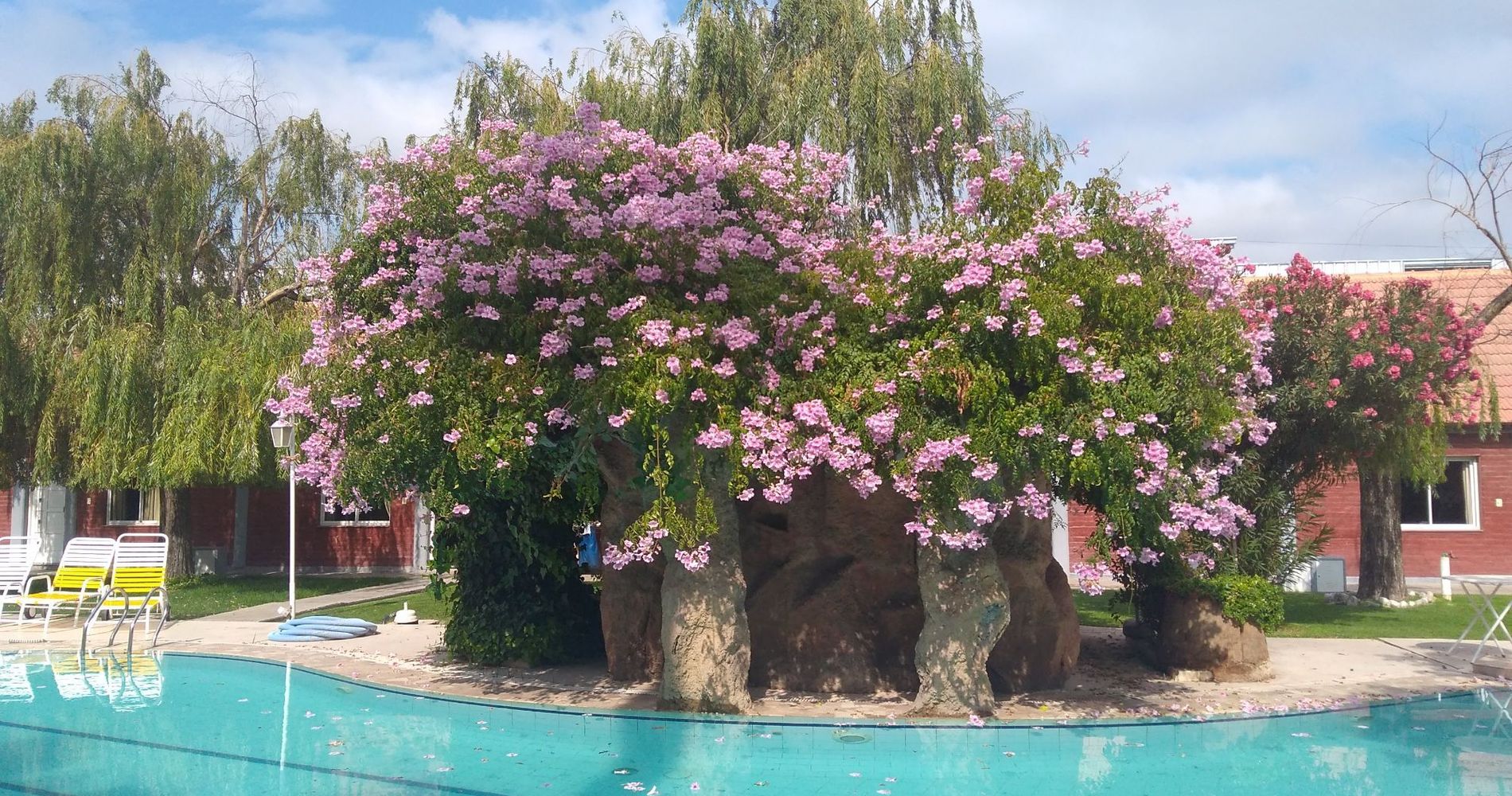 Villa Don Tomas Apart Hotel