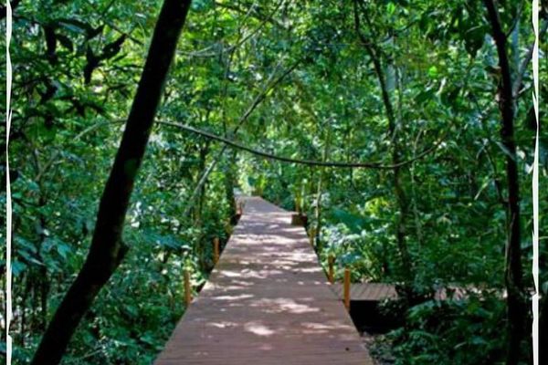 Cabaña Familiar Estandar hasta 4 personas