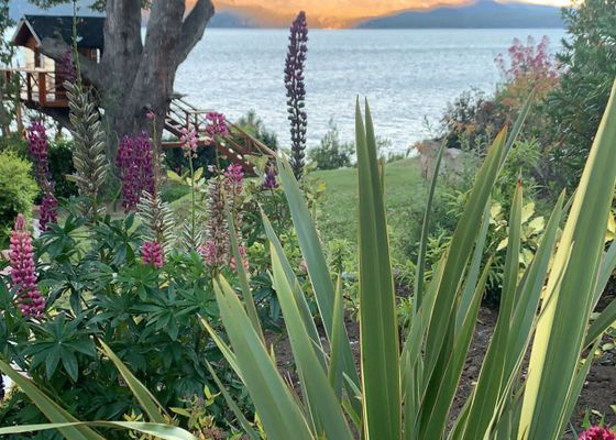 Costa Brava Apart Hotel & Suites