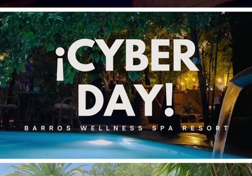¡ESPECIAL CYBER DAY!