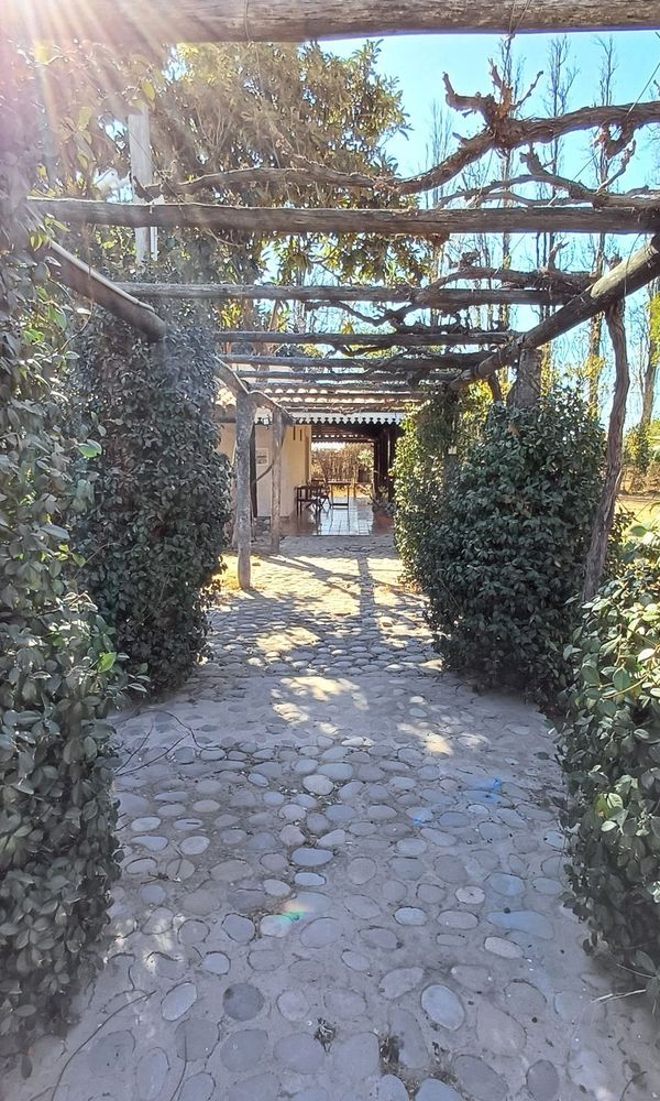 Posada Cavieres Wine Farm