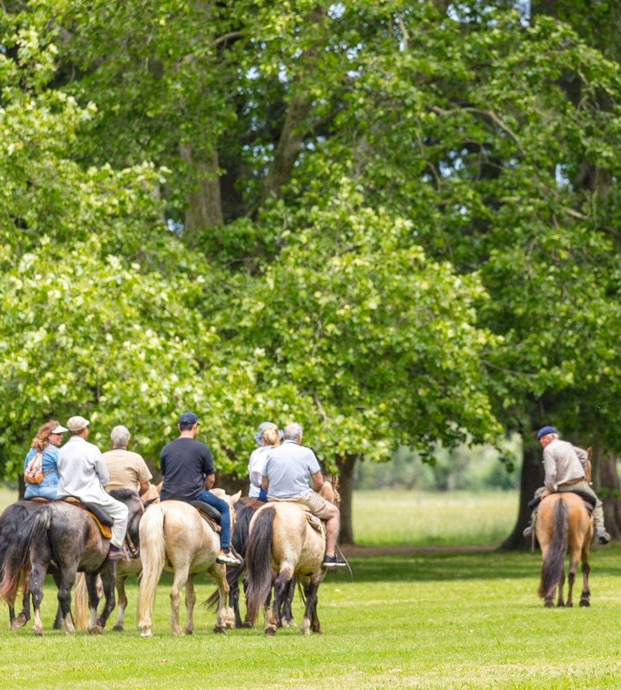 Estancia La Bandada