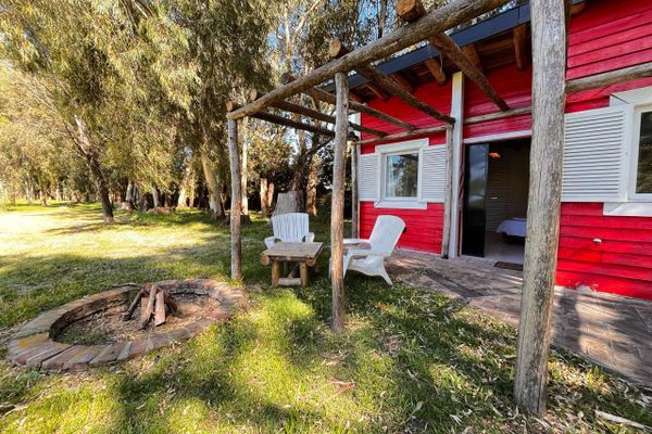 APART AL CAMPO PURA SANGRE