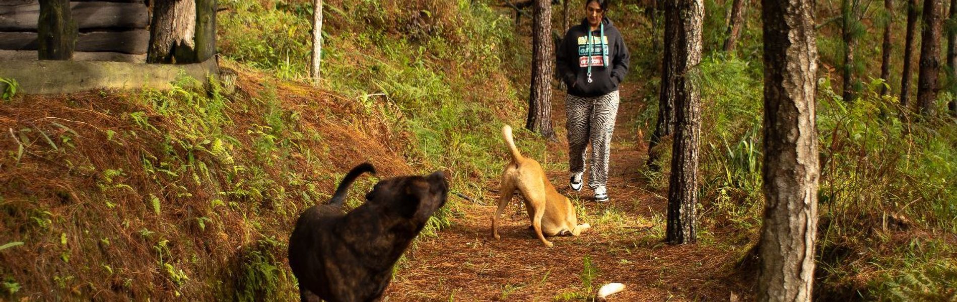 Refugio Natural Guarne
