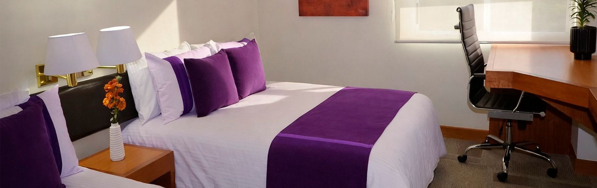 Hotel Lois Express Monterrey Aeropuerto La Fe