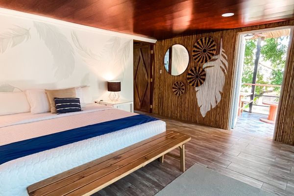 Suite Tortuga 2 habitaciones
