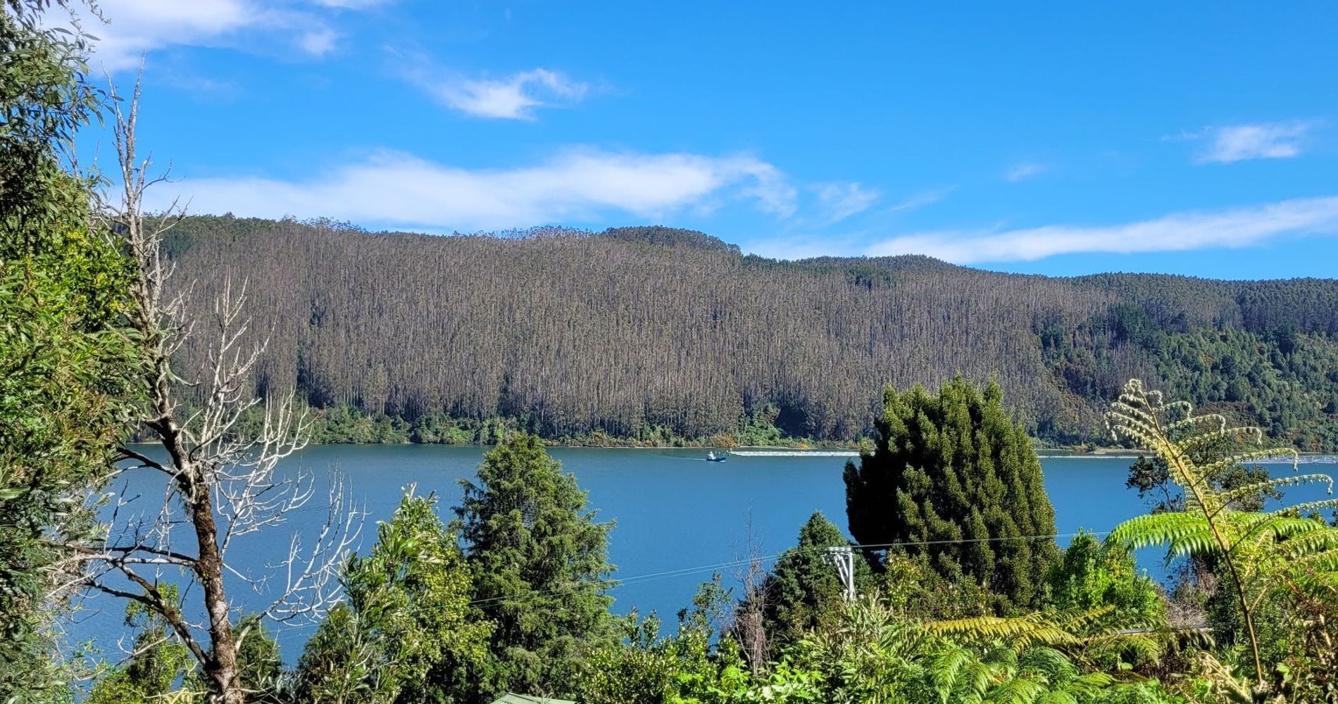 Complejo Turístico La Rueda del Chucao