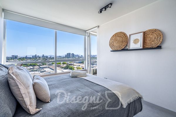 Departamento Santiago Centro, Metro y Cultura Disegni 15