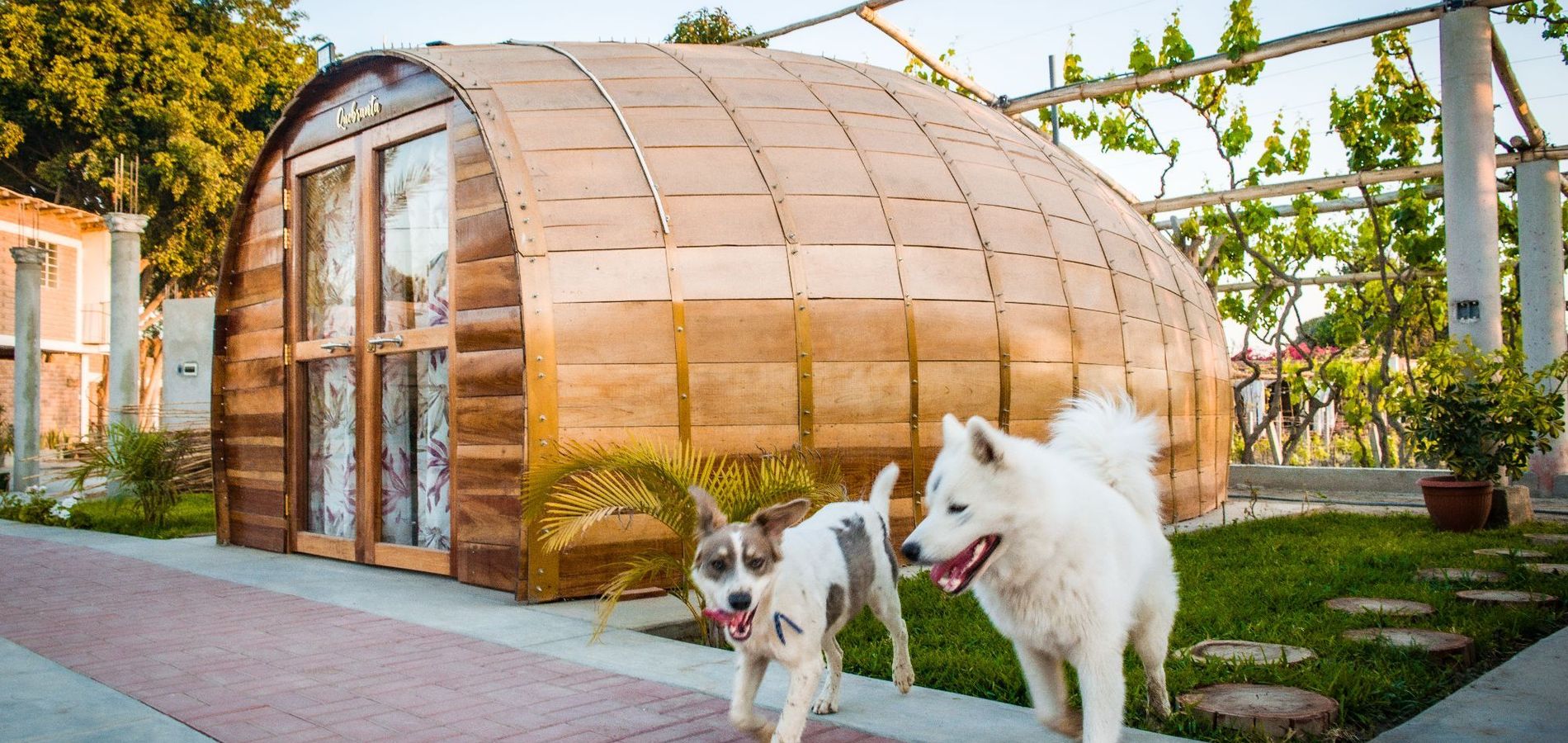 Glamping Toneles y Viñedos