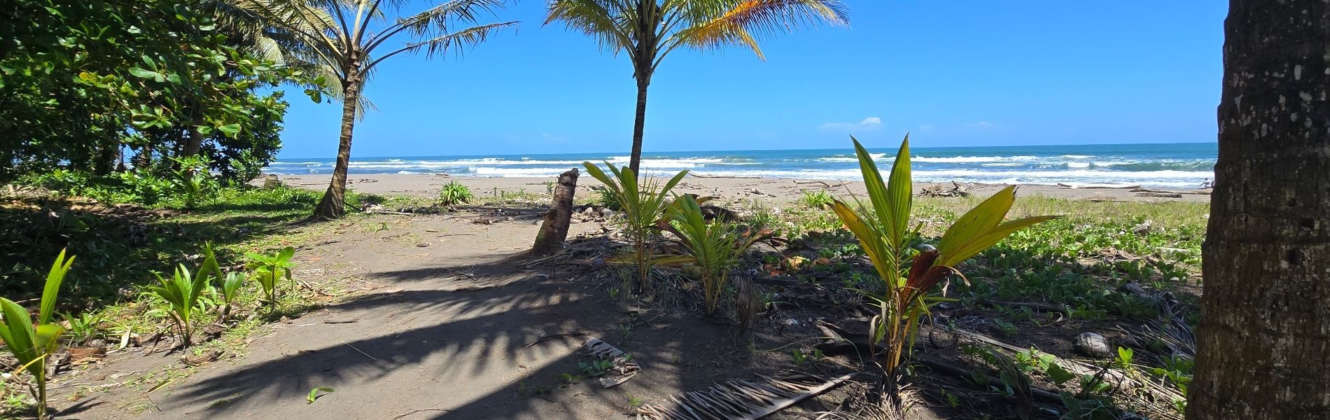 Hotel Tortuguero Beachfront