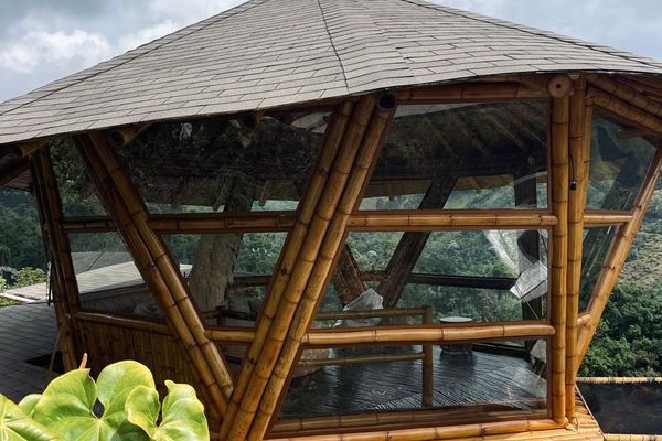 Cabaña Tangara Real